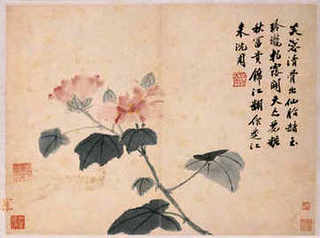 小鸡拉稀怎么办最有效的方法，小鸡拉稀了怎么办-小鸡吃撑了怎么救它