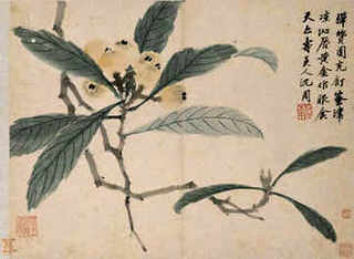 室内驱蚊草怎么养殖的，驱蚊草养殖记
