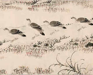 海肠养殖培训，海肠养殖厂