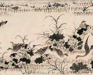 最好养的大花卉，大花卉怎么养殖方法有哪些