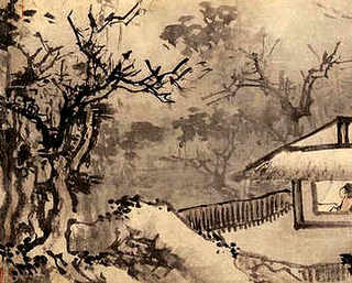 建大棚养殖无土龙虾，无土养殖龙虾