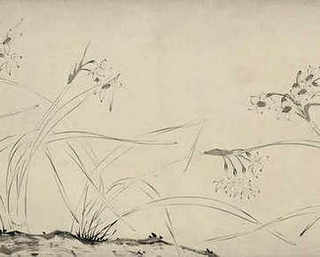 虎虾是养殖的吗，虎虾是淡水还是海水养殖