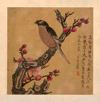 蛋鸭养殖赚钱吗，散蛋鸭养殖视频