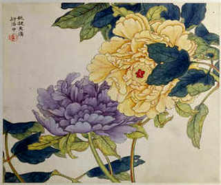 鹧鸪家庭养殖，鹧鸪养殖笼