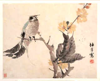 郁金香怎么养殖，水养郁金香禁忌