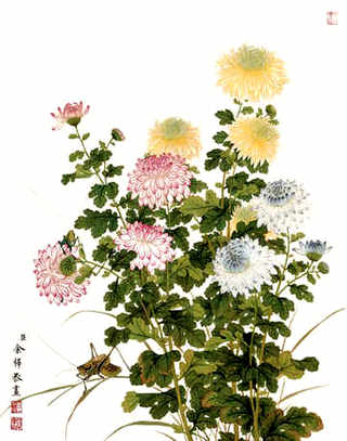 养殖鸡鸭牧草，鸡鸭养殖必备