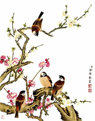 紫菜养殖最新技术，山东紫菜养殖视频