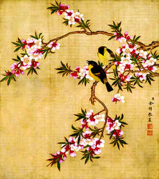 龟苓膏十大功效，龟苓膏是什么啊
