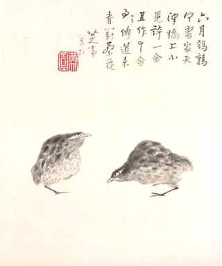 买蝇蛆养殖技术，广东蝇蛆养殖培训技术