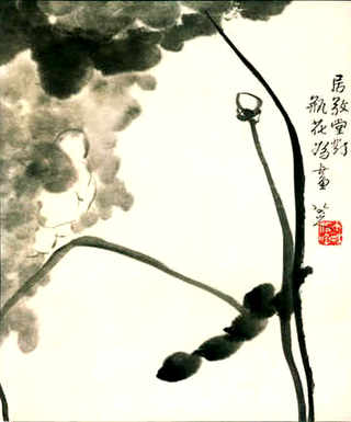 壁虎养殖加盟，养殖壁虎行情