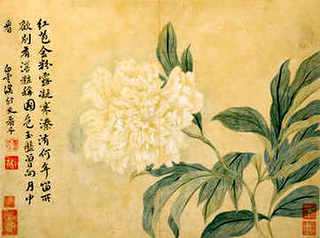 胡蜂蜂毒市场行情，国内胡蜂蜂毒的开发利用前景如何