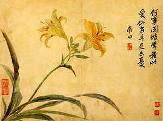 绣眼鸟如何喂蜂蜜，绣眼鸟喂蜂蜜还是喂葡萄糖粉好些