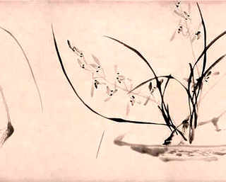 芦花鸡怎么养长得快不生病，芦花鸡怎么养芦花鸡的生活特点