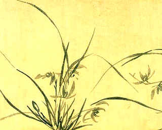 养殖鸽子的前期投入，养一万只鸽子要投入多少钱