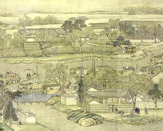 沙丁鱼养殖基地，海南沙丁鱼养殖基地