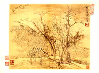 养殖小龙虾场地，养小龙虾的场地要注意什么