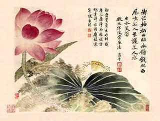 立体养殖小龙虾怎么样，立体养殖小龙虾模式