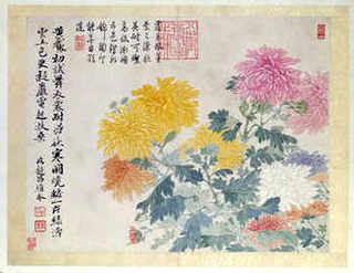 东北哪里养蚕蛹的多，东北哪里有养殖蚕蛹的
