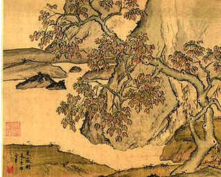 辣椒榕水草养殖心得，养殖培训班心得