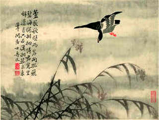 草龟养多久可以成商品龟，草龟养多久才会长大