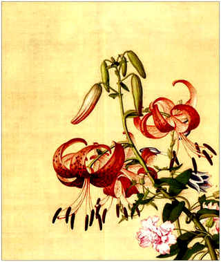 鳄鱼龟养殖池设计，鳄鱼龟养殖