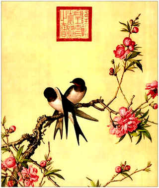 乌龟要用什么水来养，养乌龟需要除氯水吗