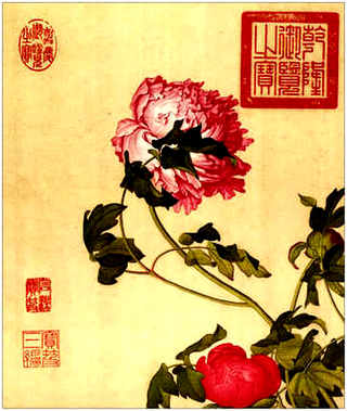 金钱龟和石金钱龟有什么区别，怎么样分别金钱龟和石金钱龟-两斤一只分别可以卖多少钱-