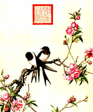 黄斑胡蜂-赛睿9hd 它们的寿命是多少
