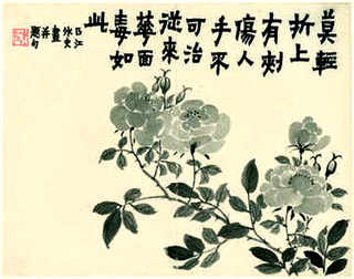 蝴蝶兰花盆大小怎么选，四季蝴蝶兰花养殖方法