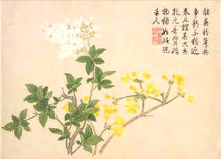 蜜蜂为什么要朝王，蜜蜂为什么会朝王