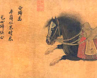 人工养殖斑鸠需要办哪些证，养殖斑鸠要办什么手续