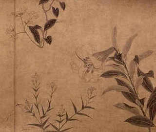 大山养殖七彩山鸡，溜山鸡养殖