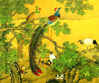 养小鸡和小鸭子，怎么养好小鸭子