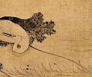 小鸡该怎么样-该怎么养小鸡-，黄小鸡和黑小鸡怎么养
