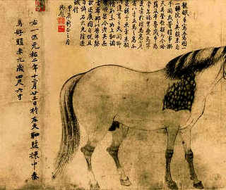 特种养殖致富项目，特种养殖养什么好