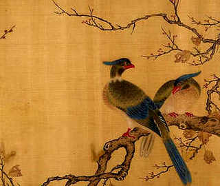 怎样养殖木耳，木耳养殖在哪学