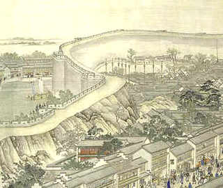 夏天蜜蜂喂什么药，蜜蜂夏天养殖技术