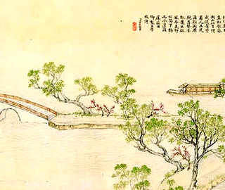 中药养殖土鸡，纯粮中药喂养土鸡