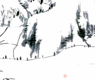 蝎子生态养殖技术，蝎子养殖视频教程