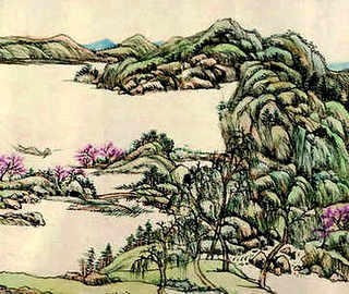每日农经野鸭，养殖野鸭每日农经