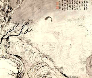 意大利蜜蜂养殖知识，意大利蜜蜂养蜂视频