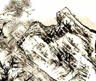 人工蜂巢网多少钱一片-就是蜜蜂装蜜的