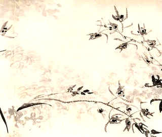 如何培育优质大蜂王，培育优质蜂王有哪些方法