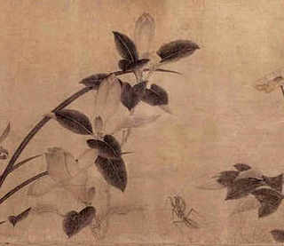 亚巨龟池适合养什么植物，仿生态龟池种什么植物