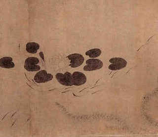 肉鸽养殖散养，宾阳散养肉鸽