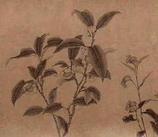 养殖蚯蚓效益，养殖蚯蚓效益如何