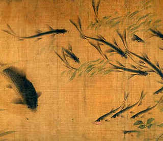 工厂化泥鳅养殖，泥鳅的养殖规划