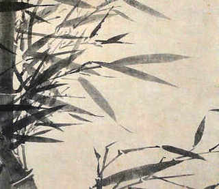 怎样养黄粉虫最好呢，最大的养黄粉虫基地