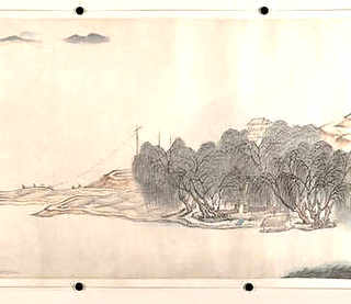 草龟养殖前景，草龟养殖前景