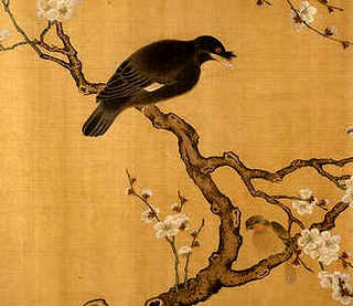 鳄龟室外养殖吗，鳄龟室外养殖吗
